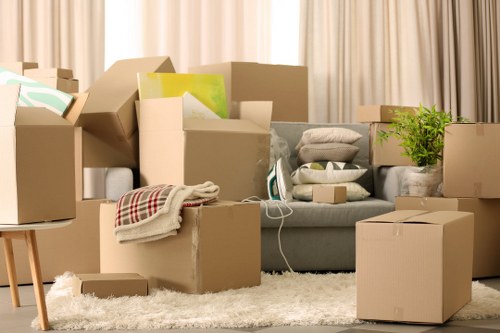 Careful wrapping of fragile items during a Brompton move