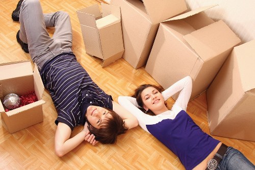 Professional loading support for furniture and boxes